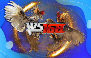 Pohon8 WS168 Sabung Ayam